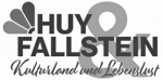 Logo Huy Fallstein